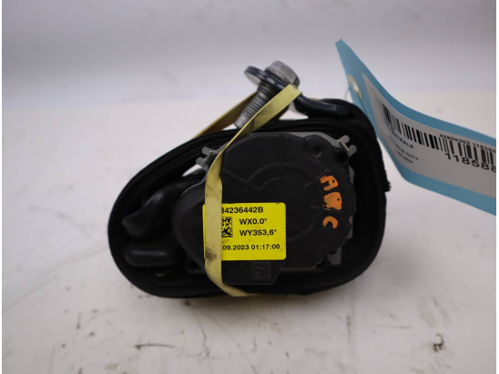 CEINTURE CENTRALE AVANT