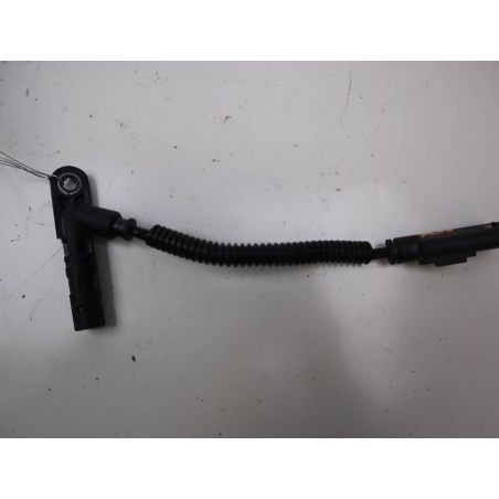 CAPTEUR ARBRE Ã€ CAMES