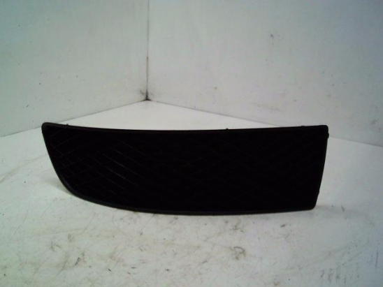 ENJOLIVEUR D PARE-CHOC AV