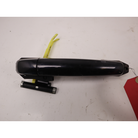 POIGNEE EXT PORTE ARG