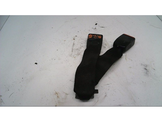 ANCRAGE CEINTURE ARG