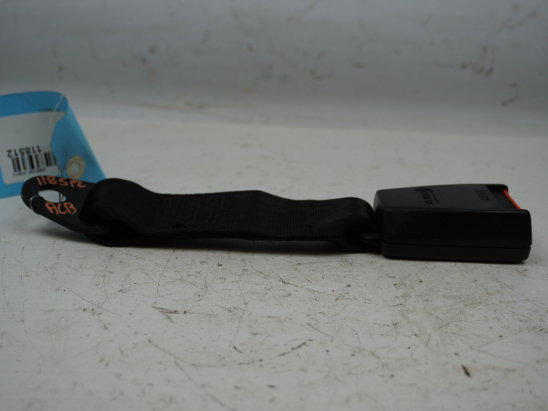 ANCRAGE CEINTURE ARG