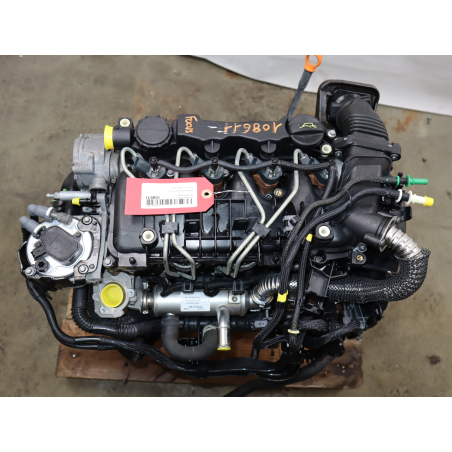 Moteur diesel occasion FORD FOCUS II Phase 2 - 1.6 TDCI 90ch