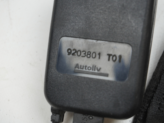 ANCRAGE CEINTURE ARG