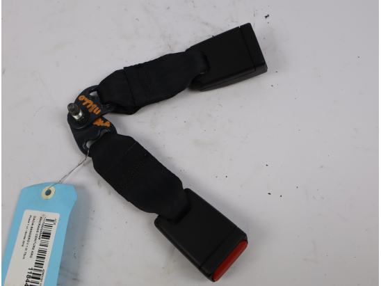 ANCRAGE CEINTURE ARG