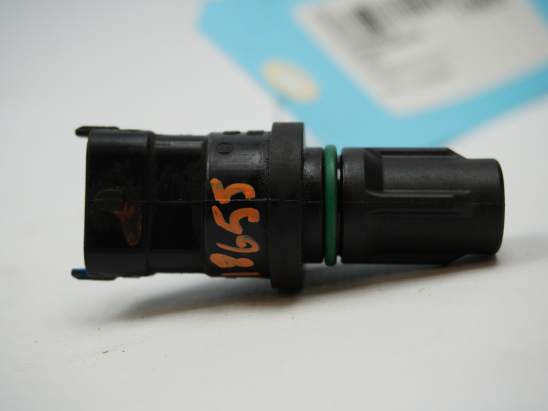 CAPTEUR ARBRE Ã€ CAMES