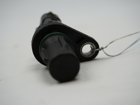 CAPTEUR ARBRE Ã€ CAMES