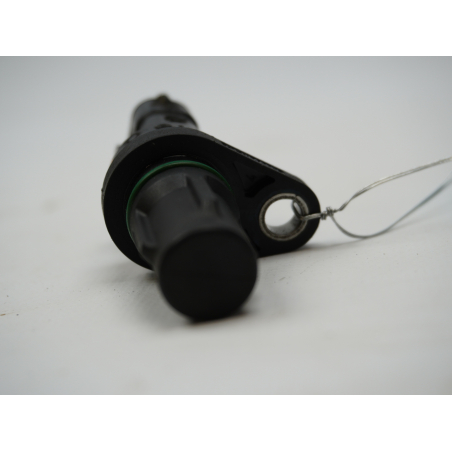 CAPTEUR ARBRE Ã€ CAMES