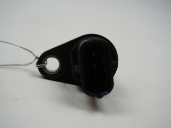 CAPTEUR ARBRE Ã€ CAMES