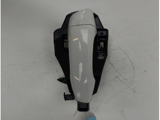 POIGNEE EXT PORTE AVD