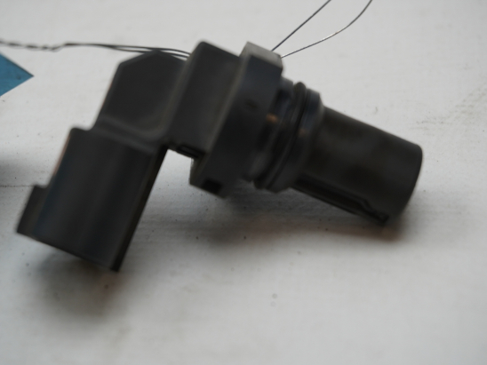 CAPTEUR ARBRE Ã€ CAMES