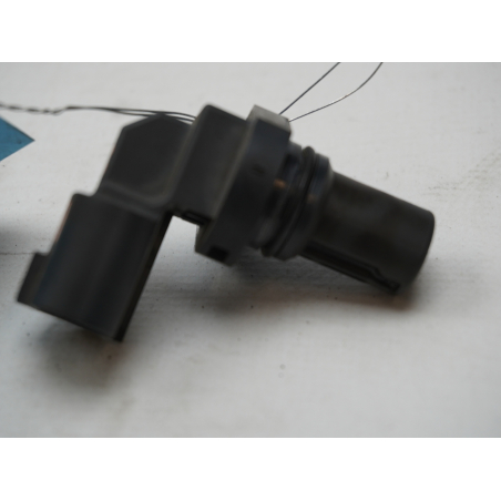 CAPTEUR ARBRE Ã€ CAMES