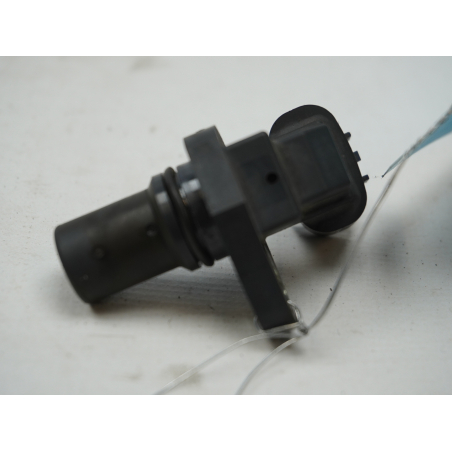 CAPTEUR ARBRE Ã€ CAMES