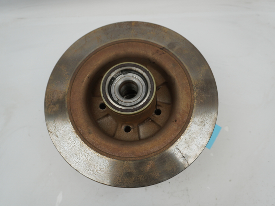 Disque arriere occasion RENAULT CLIO III Phase 2 - 2.0i 203ch