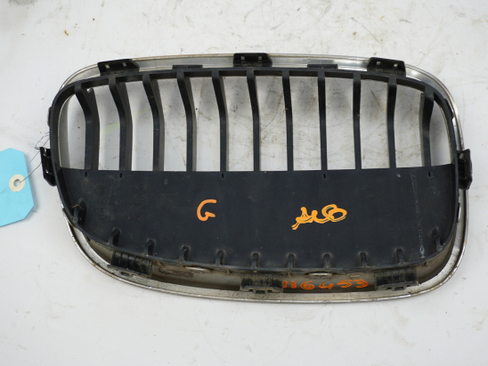 GRILLE CALANDRE G