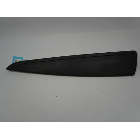 PROTECTION PORTE ARG