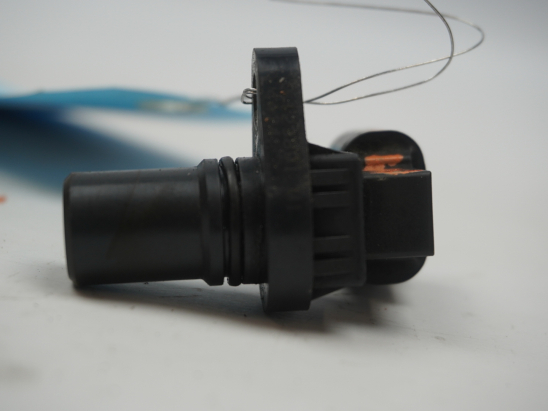 CAPTEUR ARBRE Ã€ CAMES