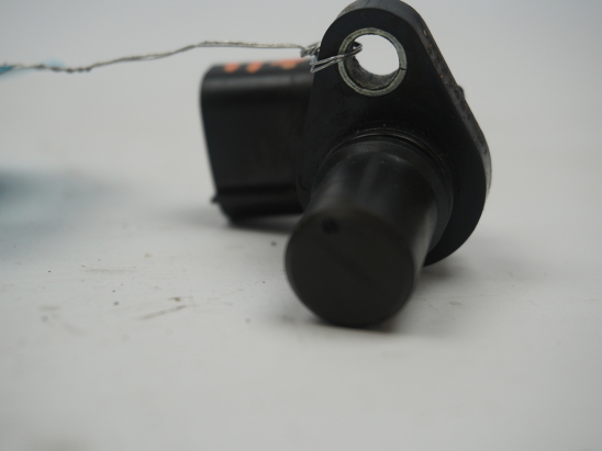 CAPTEUR ARBRE Ã€ CAMES