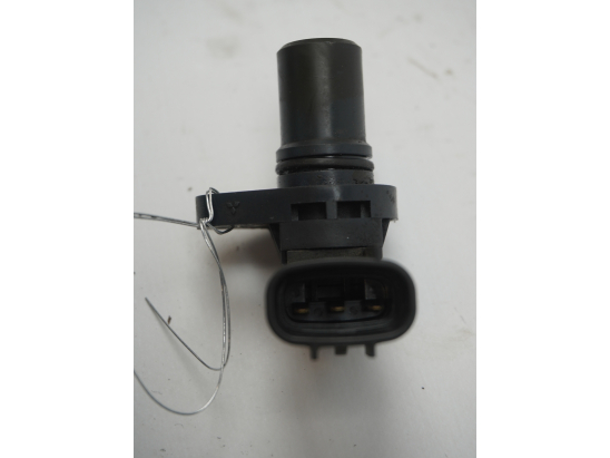 CAPTEUR ARBRE Ã€ CAMES