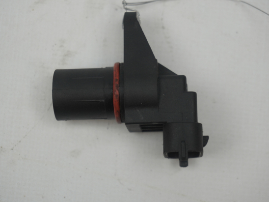 CAPTEUR ARBRE Ã€ CAMES