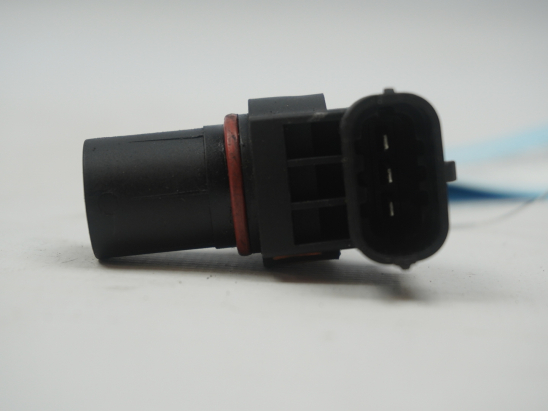 CAPTEUR ARBRE Ã€ CAMES