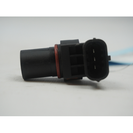 CAPTEUR ARBRE Ã€ CAMES