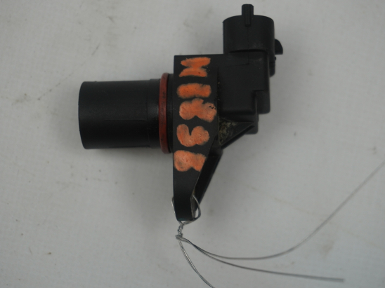 CAPTEUR ARBRE Ã€ CAMES