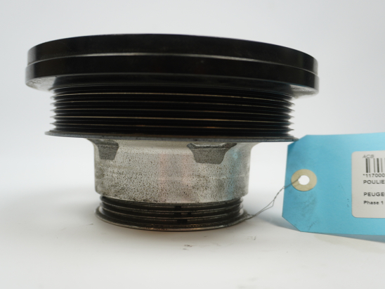 POULIE DE VILEBREQUIN