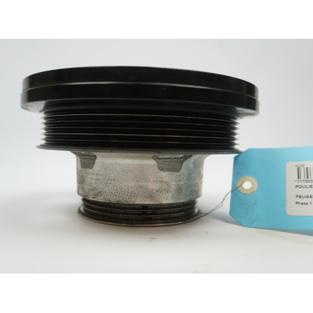 POULIE DE VILEBREQUIN