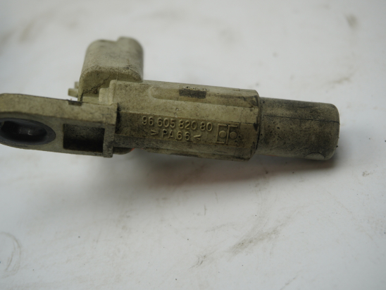 CAPTEUR ARBRE Ã€ CAMES