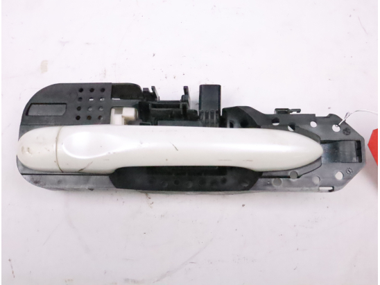 POIGNEE EXT PORTE ARG