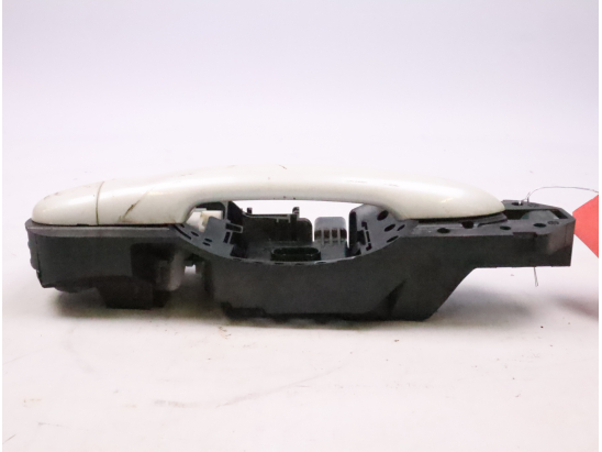 POIGNEE EXT PORTE ARG