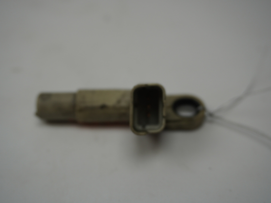 CAPTEUR ARBRE Ã€ CAMES