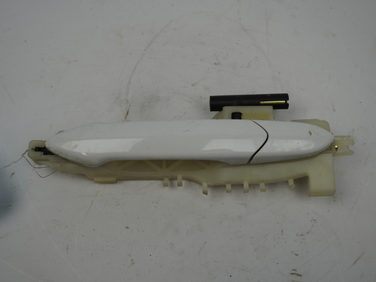 POIGNEE EXT PORTE ARG