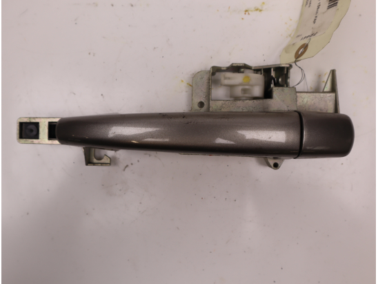 POIGNEE EXT PORTE ARG