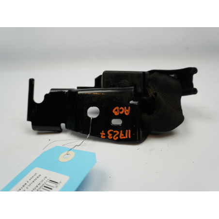 ANCRAGE CEINTURE ARG