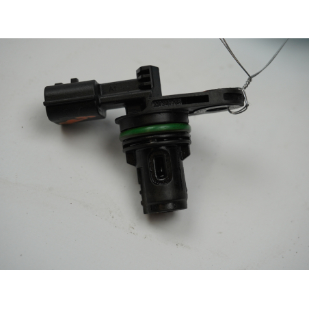 CAPTEUR ARBRE Ã€ CAMES