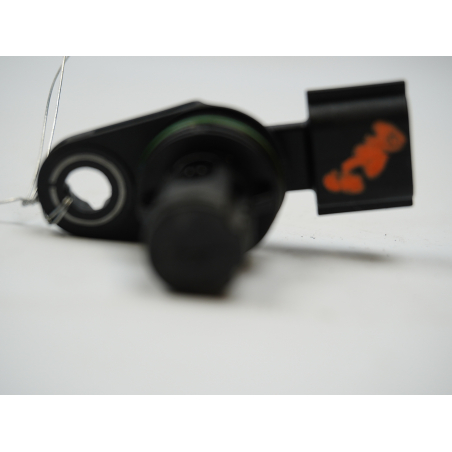 CAPTEUR ARBRE Ã€ CAMES