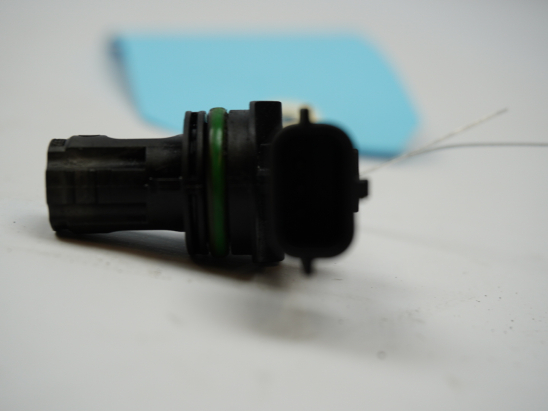 CAPTEUR ARBRE Ã€ CAMES