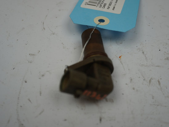 CAPTEUR ARBRE Ã€ CAMES