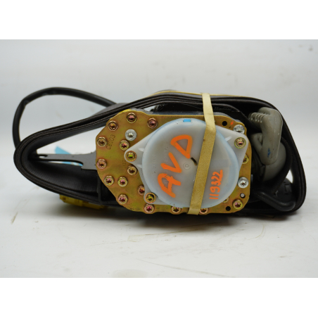 CEINTURE AVD