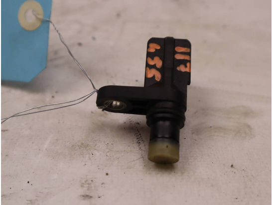 CAPTEUR ARBRE Ã€ CAMES