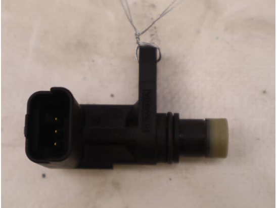 CAPTEUR ARBRE Ã€ CAMES