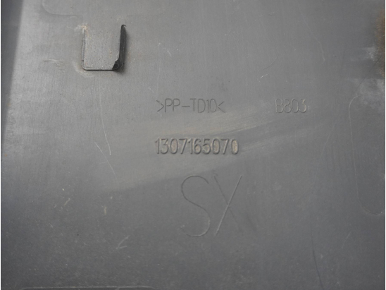 PROTECTION PORTE ARG