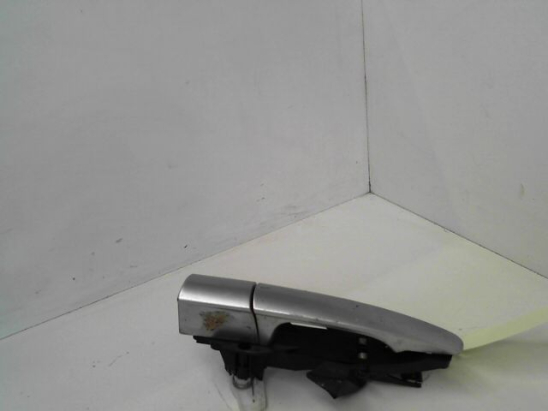 POIGNEE EXT PORTE ARG