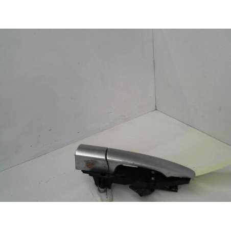 POIGNEE EXT PORTE ARG