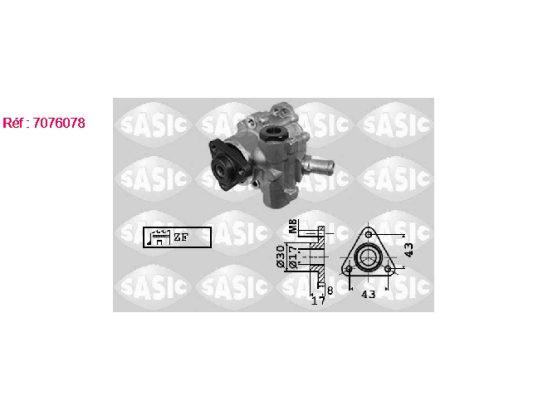 Pompe assistance Sasic 7076078