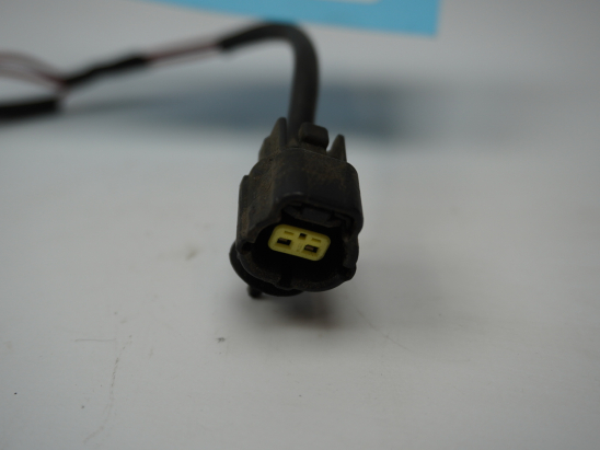 ECLAIREUR PLAQUE DE POLICE