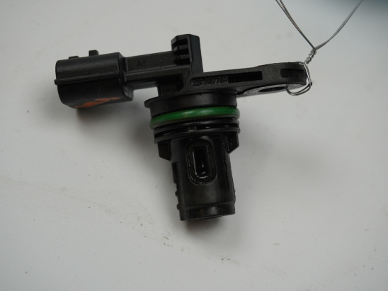 CAPTEUR ARBRE Ã€ CAMES