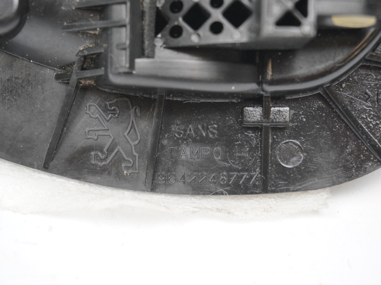 POIGNEE INT PORTE AVG